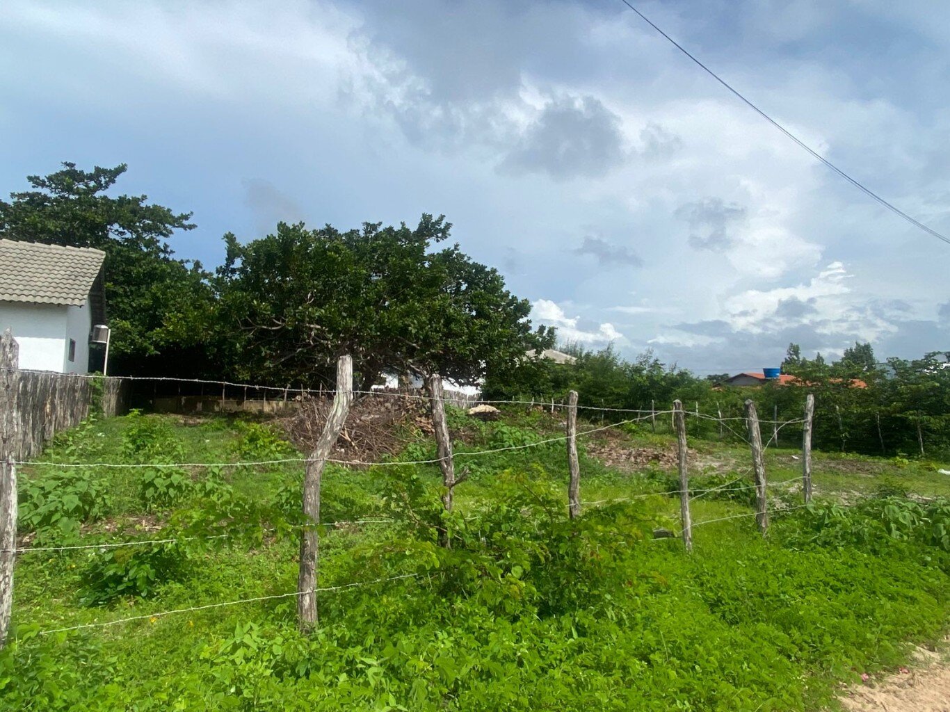Terreno para venda, Barra Grande, Cajueiro Da Praia (TE1167)