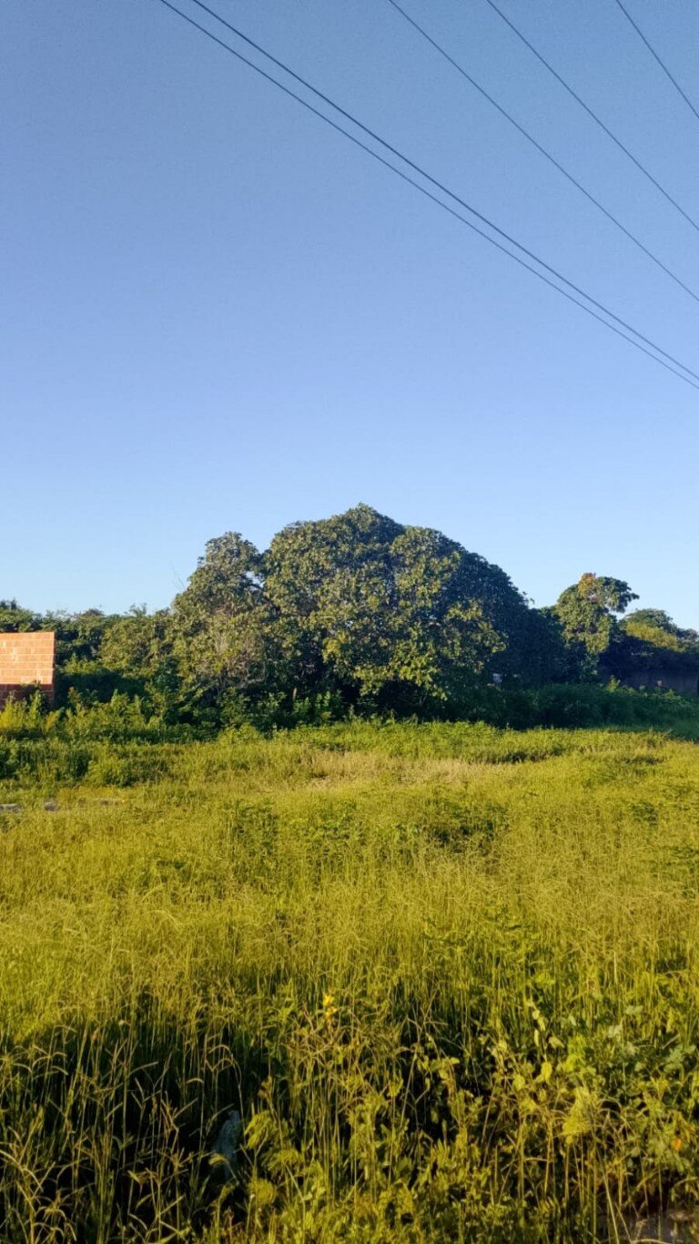Terreno para venda, Floriopolis, Parnaíba (TE1210)