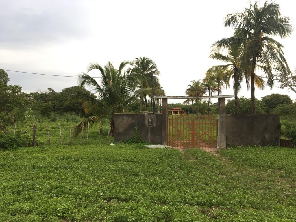Sítio com excelente localização (TE335)