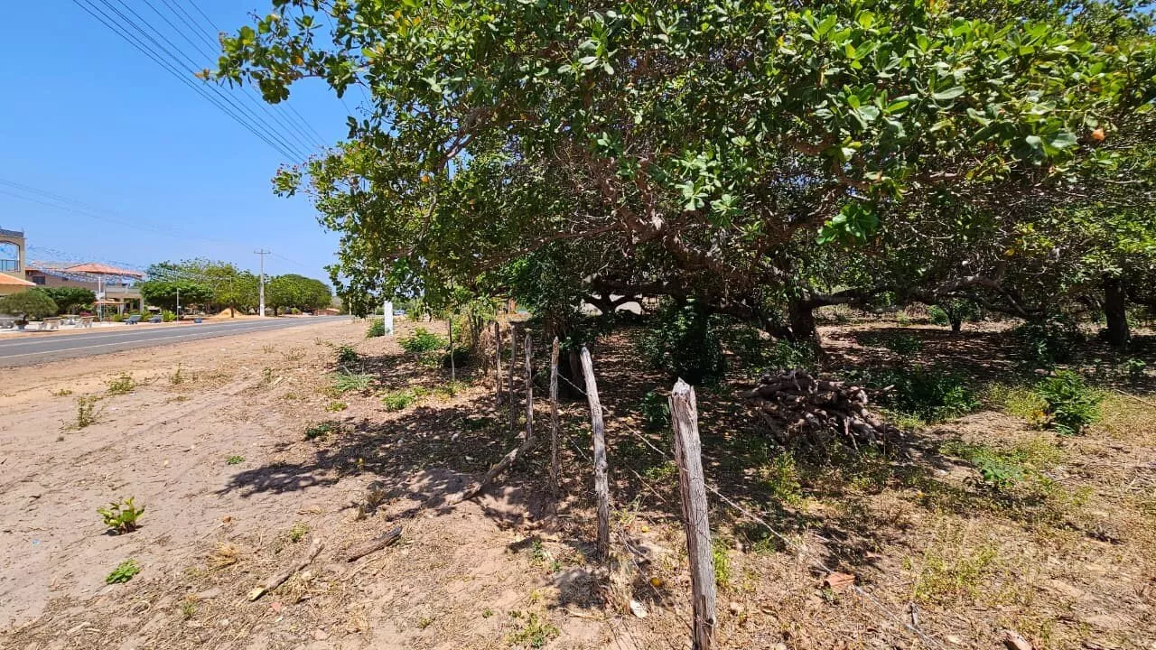 Terreno para venda, Carpina, Parnaíba